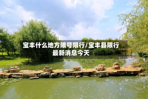 宝丰什么地方限号限行/宝丰县限行最新消息今天-第2张图片