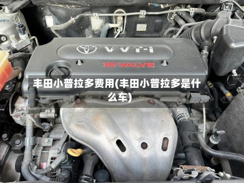 丰田小普拉多费用(丰田小普拉多是什么车)