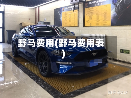 野马费用(野马费用表)-第3张图片