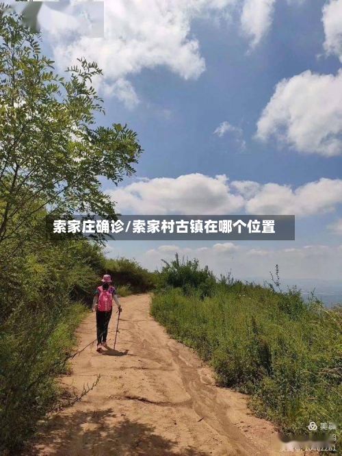 索家庄确诊/索家村古镇在哪个位置-第2张图片