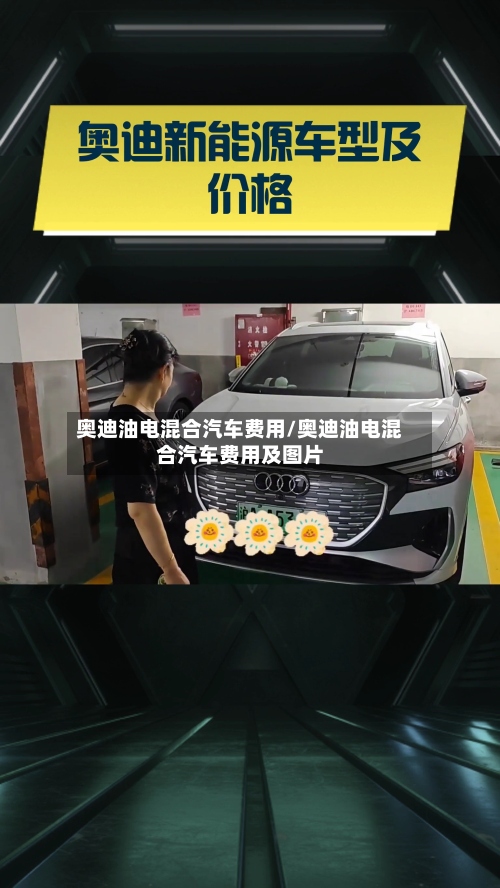 奥迪油电混合汽车费用/奥迪油电混合汽车费用及图片