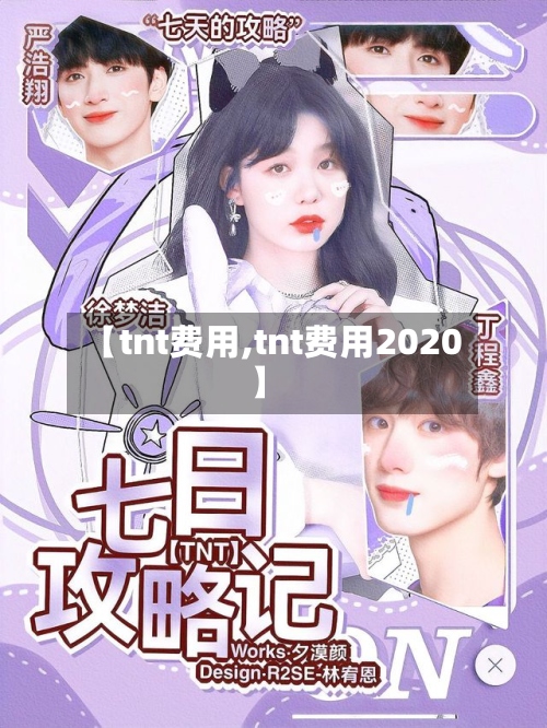 【tnt费用,tnt费用2020】-第3张图片