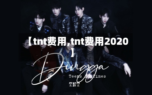 【tnt费用,tnt费用2020】