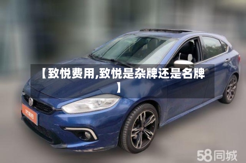 【致悦费用,致悦是杂牌还是名牌】