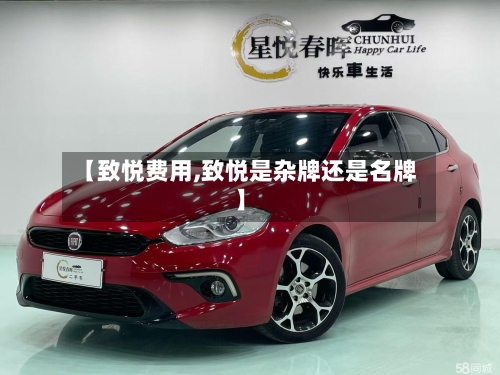 【致悦费用,致悦是杂牌还是名牌】-第2张图片