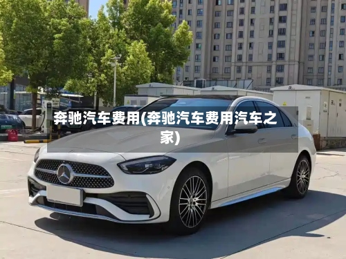 奔驰汽车费用(奔驰汽车费用汽车之家)-第3张图片