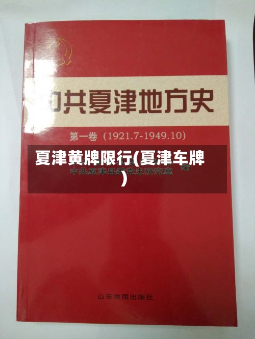 夏津黄牌限行(夏津车牌)