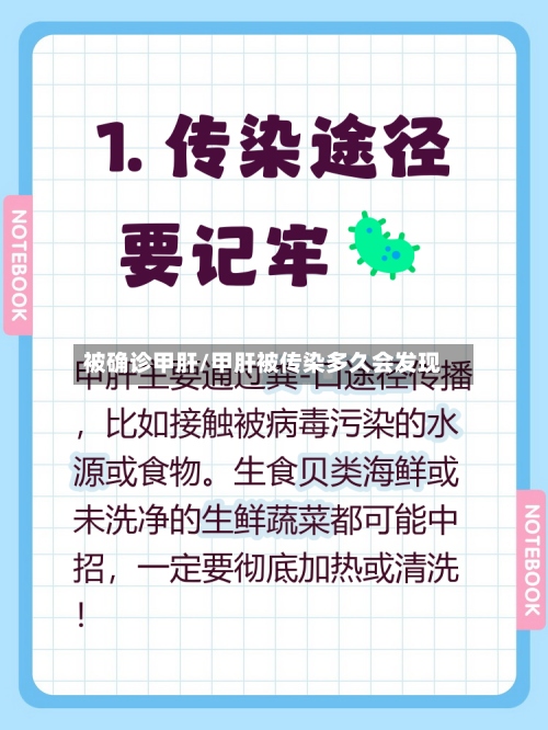 被确诊甲肝/甲肝被传染多久会发现-第2张图片