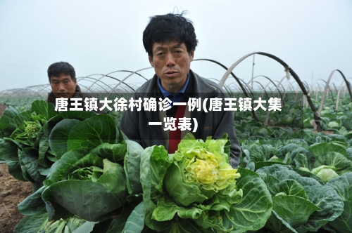 唐王镇大徐村确诊一例(唐王镇大集一览表)-第2张图片