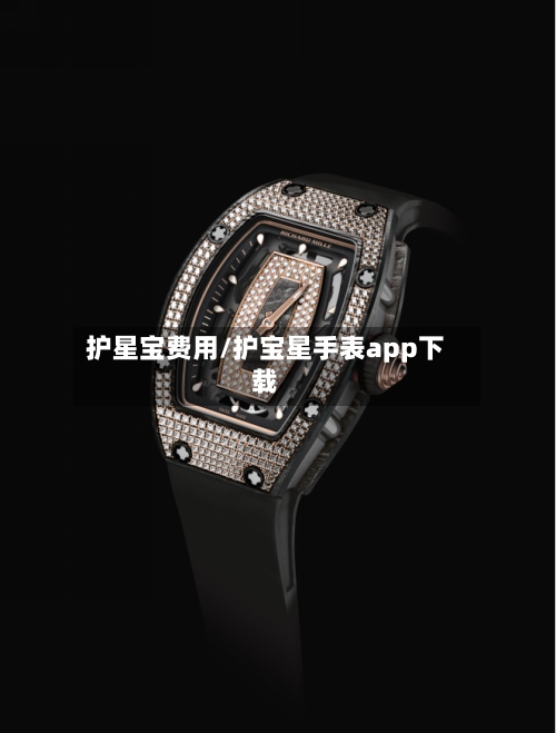 护星宝费用/护宝星手表app下载