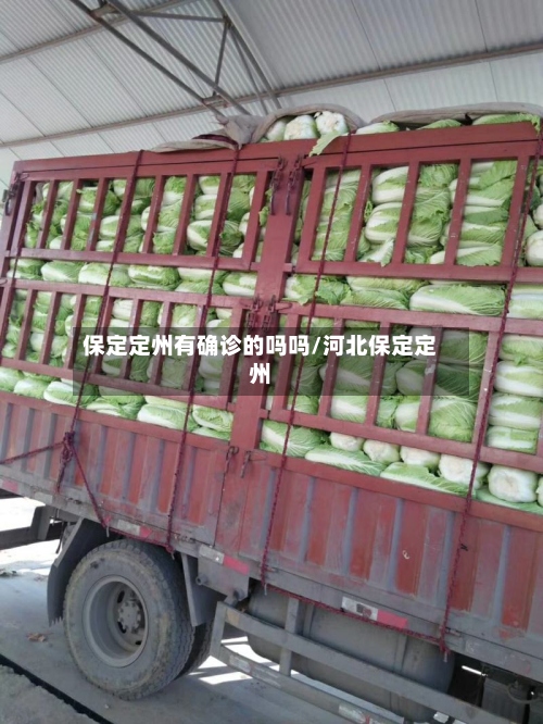 保定定州有确诊的吗吗/河北保定定州