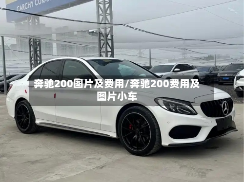奔驰200图片及费用/奔驰200费用及图片小车