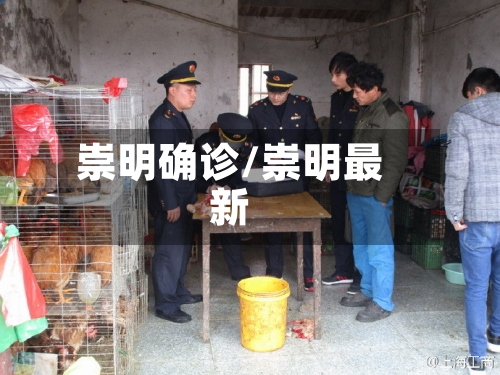 崇明确诊/崇明最新
