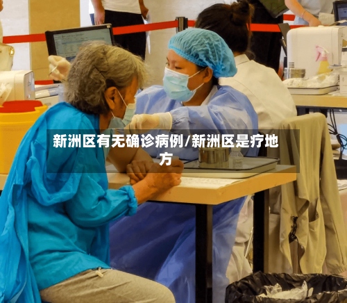 新洲区有无确诊病例/新洲区是疗地方