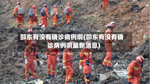 邵东有没有确诊病例啊(邵东有没有确诊病例啊最新消息)-第2张图片
