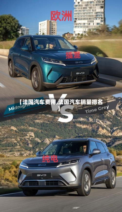【法国汽车费用,法国汽车销量排名】-第2张图片