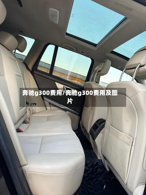 奔驰g300费用/奔驰g300费用及图片-第2张图片