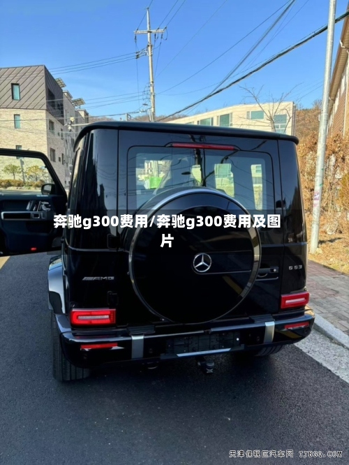 奔驰g300费用/奔驰g300费用及图片