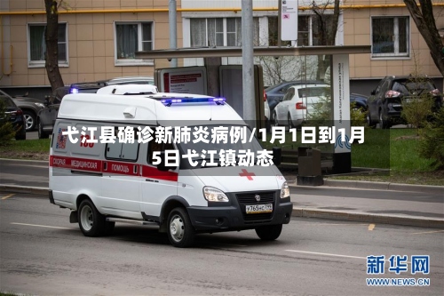 弋江县确诊新肺炎病例/1月1日到1月5日弋江镇动态