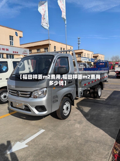 【福田祥菱m2费用,福田祥菱m2费用多少钱】