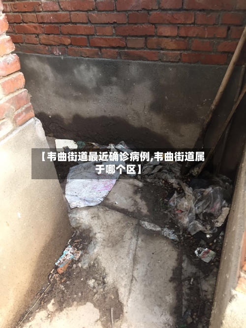 【韦曲街道最近确诊病例,韦曲街道属于哪个区】-第3张图片