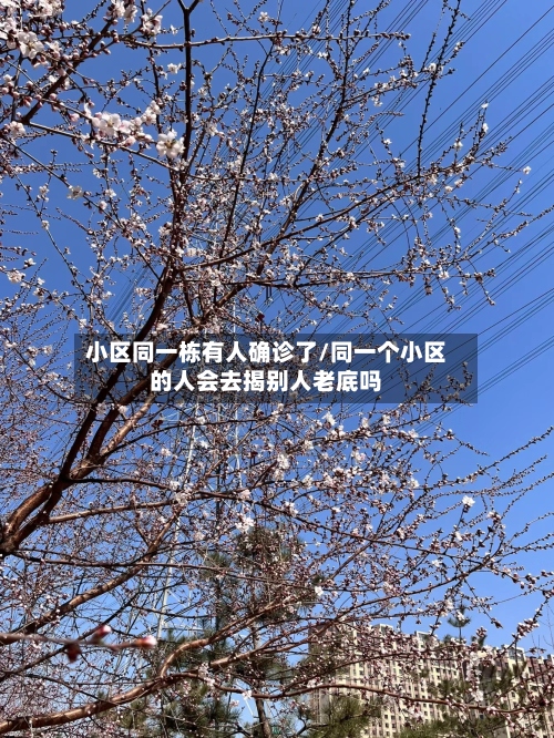 小区同一栋有人确诊了/同一个小区的人会去揭别人老底吗-第3张图片