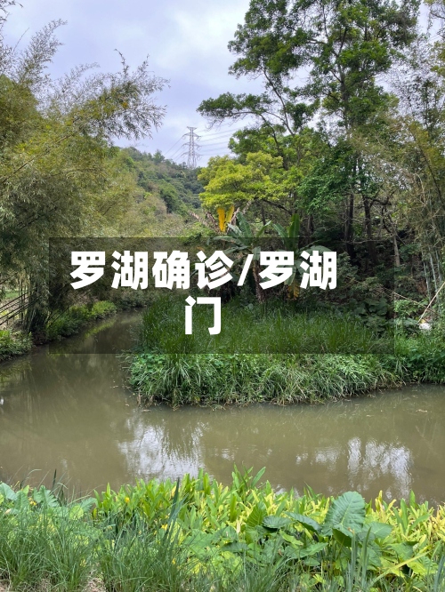 罗湖确诊/罗湖门-第2张图片