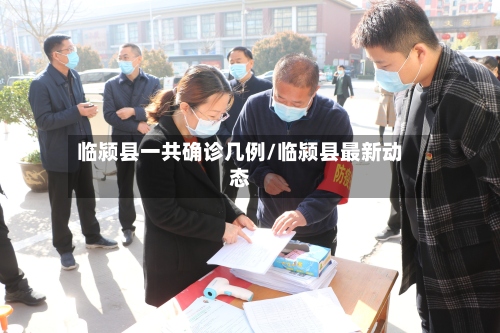 临颍县一共确诊几例/临颍县最新动态-第2张图片