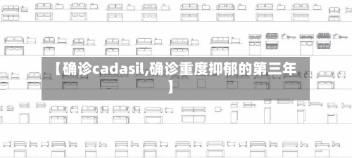 【确诊cadasil,确诊重度抑郁的第三年】-第2张图片