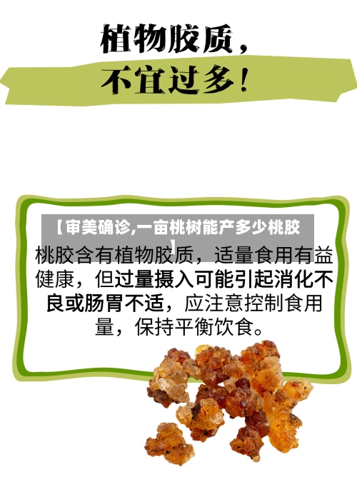 【审美确诊,一亩桃树能产多少桃胶】
