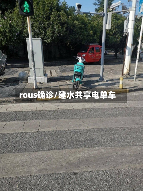 rous确诊/建水共享电单车-第2张图片