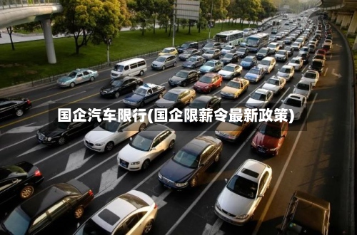 国企汽车限行(国企限薪令最新政策)