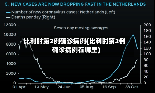比利时第2例确诊病例(比利时第2例确诊病例在哪里)-第2张图片