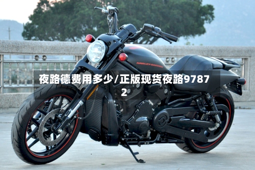 夜路德费用多少/正版现货夜路97872