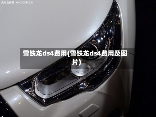 雪铁龙ds4费用(雪铁龙ds4费用及图片)