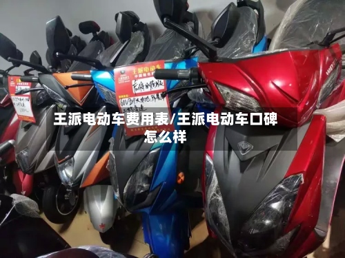 王派电动车费用表/王派电动车口碑怎么样