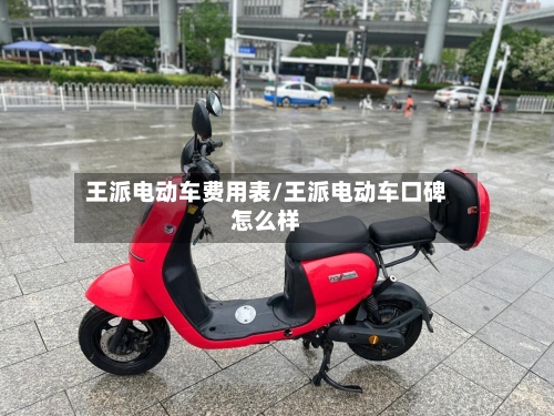 王派电动车费用表/王派电动车口碑怎么样-第2张图片