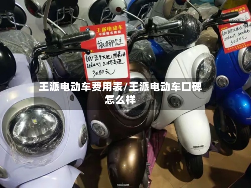 王派电动车费用表/王派电动车口碑怎么样-第3张图片