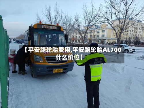 【平安路轮胎费用,平安路轮胎AL700什么价位】-第2张图片