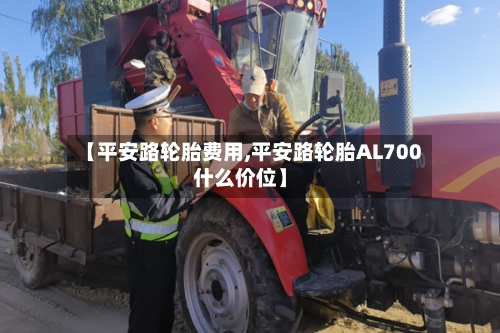 【平安路轮胎费用,平安路轮胎AL700什么价位】-第3张图片