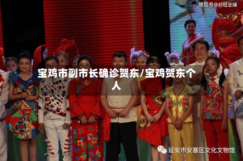 宝鸡市副市长确诊贺东/宝鸡贺东个人-第2张图片