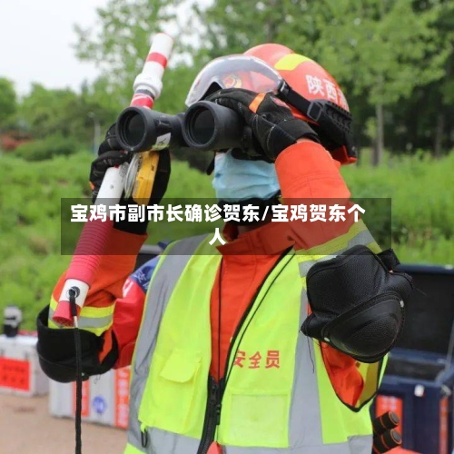宝鸡市副市长确诊贺东/宝鸡贺东个人-第3张图片