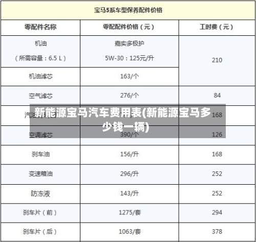 新能源宝马汽车费用表(新能源宝马多少钱一辆)-第2张图片