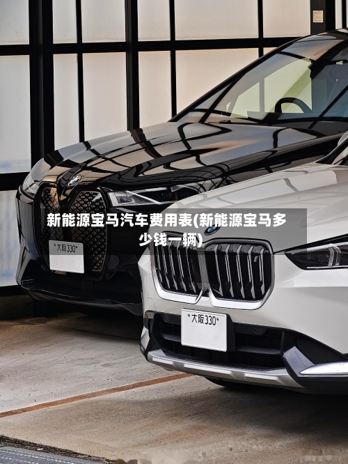新能源宝马汽车费用表(新能源宝马多少钱一辆)