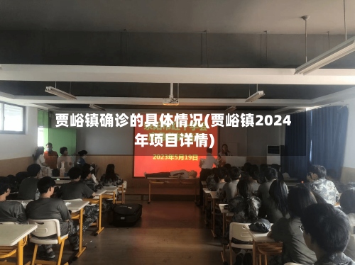贾峪镇确诊的具体情况(贾峪镇2024年项目详情)-第3张图片