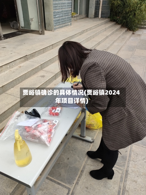 贾峪镇确诊的具体情况(贾峪镇2024年项目详情)