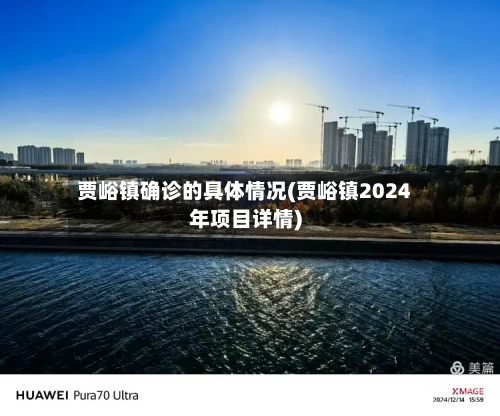 贾峪镇确诊的具体情况(贾峪镇2024年项目详情)-第2张图片