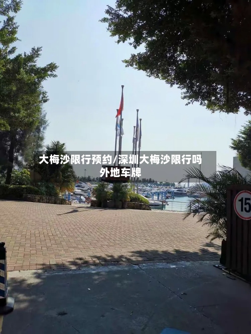 大梅沙限行预约/深圳大梅沙限行吗外地车牌
