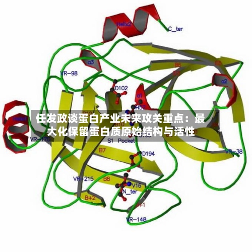 任发政谈蛋白产业未来攻关重点：最大化保留蛋白质原始结构与活性