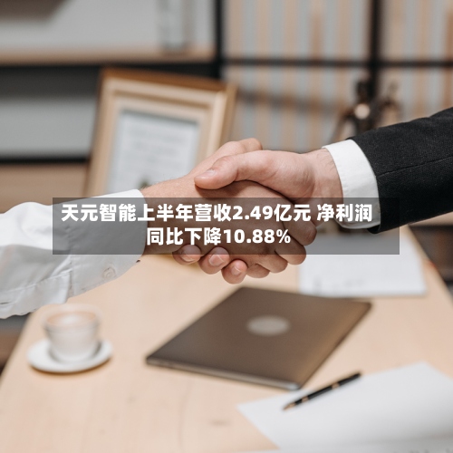 天元智能上半年营收2.49亿元 净利润同比下降10.88%-第2张图片